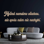 Dřevěný nápis na zeď - Možná nemáme všechno, ale spolu nám nic nechybí.