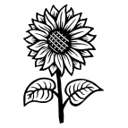 Dřevěný obraz – Slunečnice