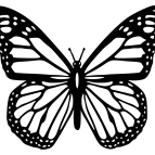 Dřevěný obraz – Motýl Monarch