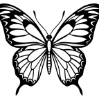 Dřevěný obraz – Elegantní motýl