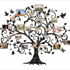 Dřevěný fotorámeček na zeď – Rodinný strom s ptáčky a motýly